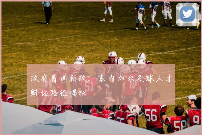 政府青训新政：塞内加尔足球人才孵化路径揭秘