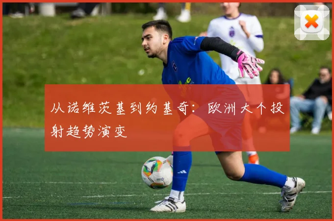 从诺维茨基到约基奇：欧洲大个投射趋势演变