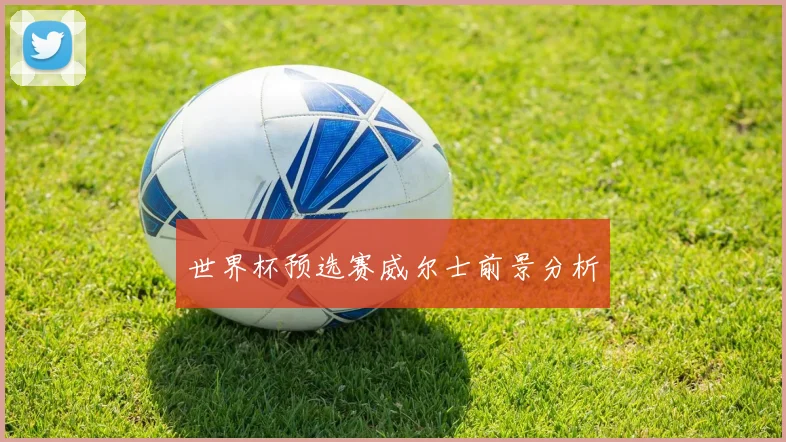 世界杯预选赛威尔士前景分析