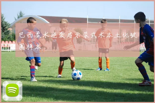 巴西柔术逆袭启示录武术本土化破圈样本